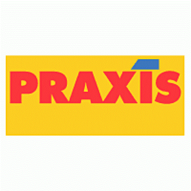 Praxis-logo