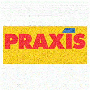 Praxis-logo